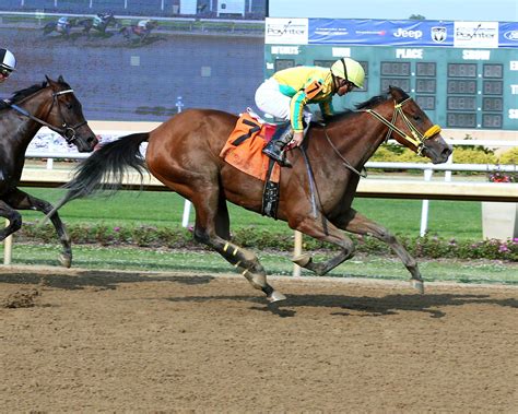 Horseshoe Indianapolis Barn Notes: Top Connections Ready for G3 Indiana Derby Day Festivities ...