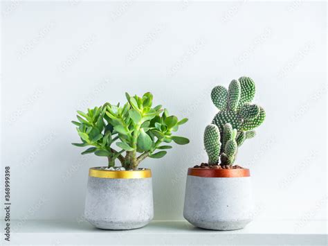 Geometric concrete planter. Cement pot. Stock Photo | Adobe Stock