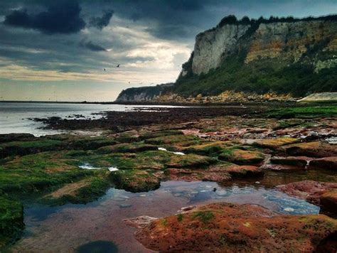 Seaton hole iphone hdr | Jurassic coast, Devon uk, Unesco world heritage site