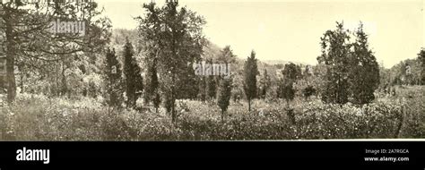 "Farmington, Connecticut, the village of beautiful homes" (1906 Stock ...