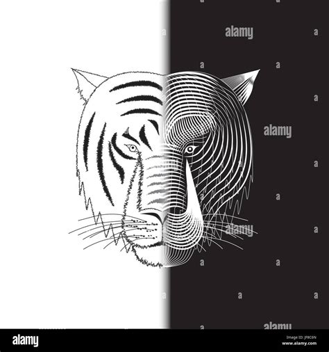 Tiger half face Stock Vector Image & Art - Alamy