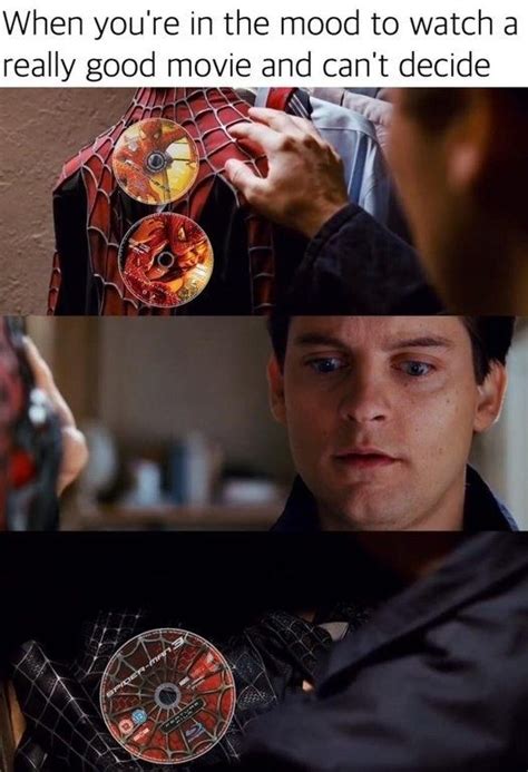 29 Memes For Anyone Who Grew Up With Tobey Maguire's Spider-Man Sony Spiderman, Spiderman Sam ...