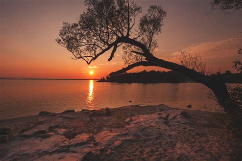 River Trees Sunset HD Wallpapers - Wallpaper Cave