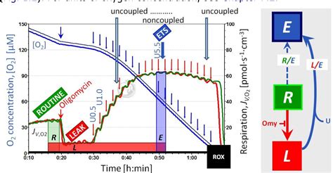 [PDF] An Introduction to OXPHOS Analysis | Semantic Scholar