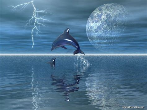 🔥 [47+] 3D Dolphin Wallpapers | WallpaperSafari