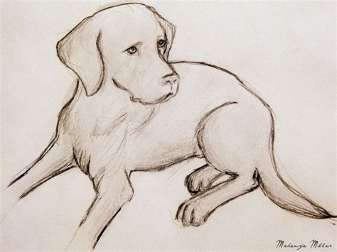 Home - Art | Animal drawings, Dog sketch, Dog drawing