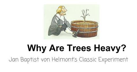 Jean Baptist van Helmont's Classic Experiment - Google Slides