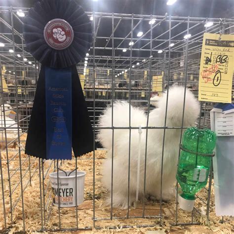 Ohio National Poultry Show 2019 | Meyer Hatchery Blog