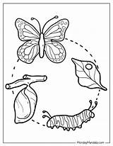 20 Caterpillar Coloring Pages Free PDF Printables sketch template