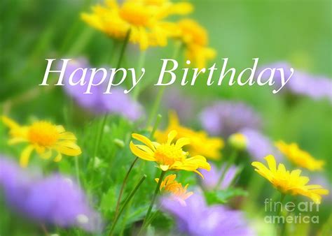 Flower Garden Birthday Card Photograph by Carol Groenen - Pixels