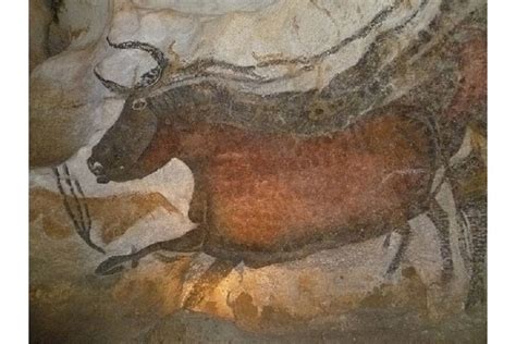 Cave Paintings: The Art of the Ancients in Europe, Africa, Asia, and ...