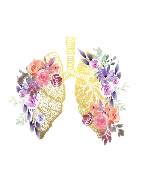 Human Lungs Anatomy Clipart Floral Clip Art Bronchi Clipart Medical | The Best Porn Website