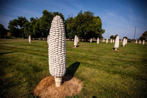 Field of Giant Corn Cobs in Dublin, Ohio - Silly America