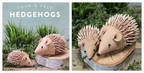 Hedgehog Activities For Kids