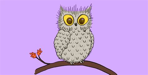 25 Owl Puns That Will Make You Feel Owl The LOLs | Thought Catalog