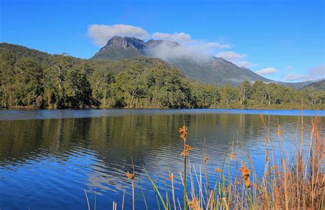 Mt Murchison | Tullah, Tasmania, Australia -------- Mt Murch… | Flickr