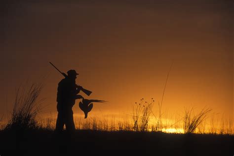 Pheasants – The National Pheasant Plan