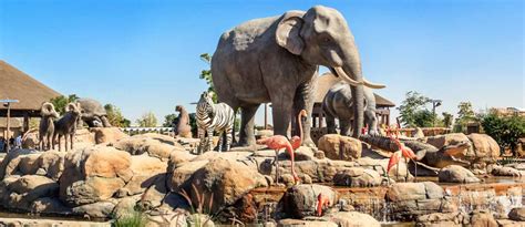 Famous Zoos in the UAE: Dubai Safari Park, Al Ain Zoo & More - MyBayut