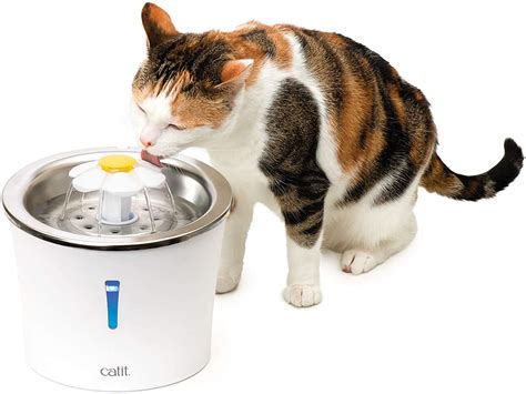 Catit Flower Fountain Stainless Steel 3L Cat Fountain Drinking Bowl ...