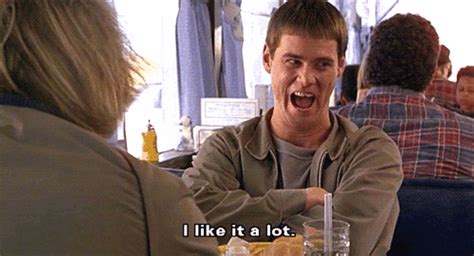 Dumb and Dumber GIFs | POPSUGAR Entertainment