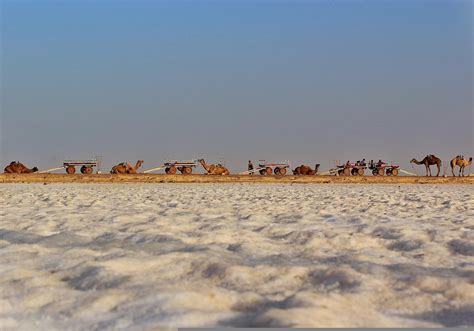 10 Best places you must visit in Kutch - inGujarat.in