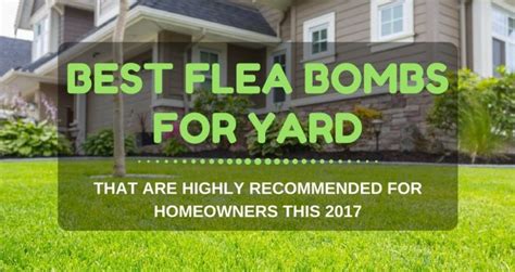 Best Flea Bombs For Yard That Are Highly Recommended For Homeowners 2023