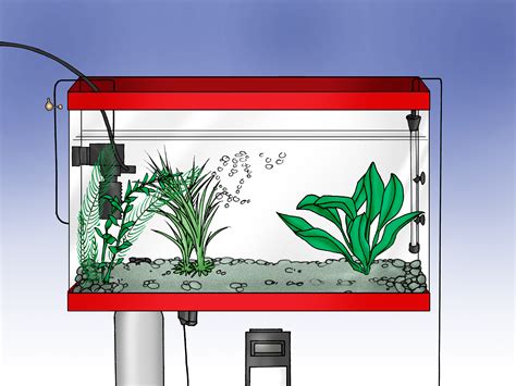 How to Set up an Aquarium With Live Plants: 12 Steps