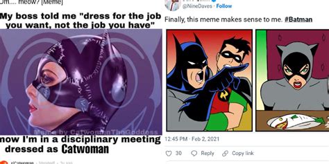 Batman: 10 Memes That Perfectly Sum Up Catwoman As A Character