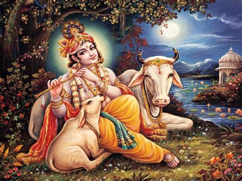 Krishna and Cow Wallpapers - Top Free Krishna and Cow Backgrounds ...