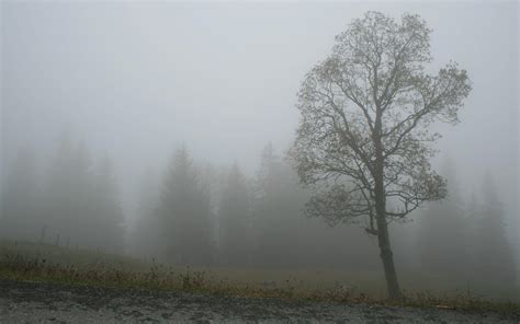 Foggy Wallpapers - Wallpaper Cave