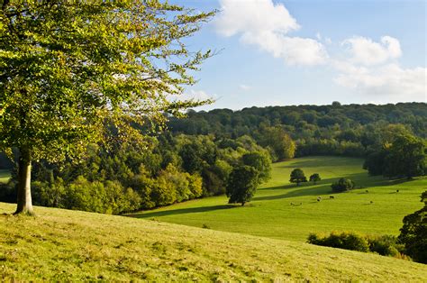 field, Hills, Trees, Landscape, Autumn Wallpapers HD / Desktop and Mobile Backgrounds