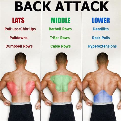 2 EASY STRETCHES YOUR TIGHT LATS | GUIDE | Exercice musculation dos, Fitness et musculation ...