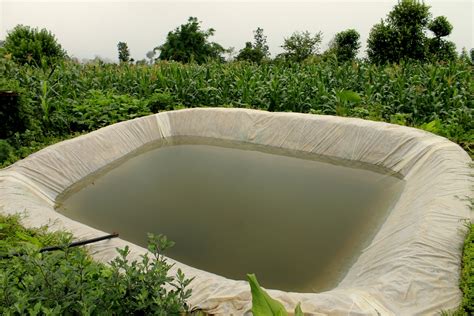 The History of Rainwater Harvesting - Vardhman Envirotech