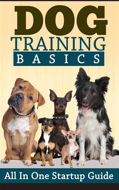 Dog Training Basics: All in One Startup Guide Review | Budget Earth