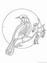 Tui Cute  How To Create Your Own Kiwianna Artwork sketch template
