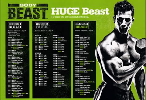 Body Beast Workout - Real Women's Body Beast Review