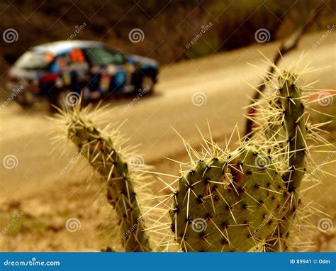 Rally car in desert stock image. Image of outside, cactaceae - 89941