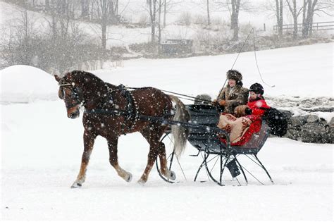 a real horsse-drawn sleigh in Woodstock, Vermont | Cavalos, Inverno, Cavalo