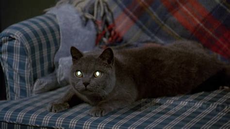 Pet Sematary 1989 Review | Horror Movie Talk | Episode 37