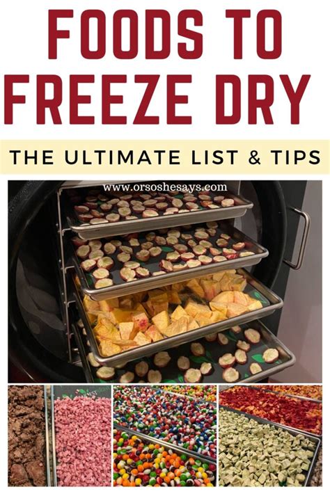 Recipes Using Freeze Dried Vegetables | Besto Blog