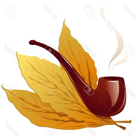 Tobacco Leaf Vector at Vectorified.com | Collection of Tobacco Leaf ...