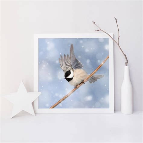 Winter Bird Print Bird Photography Winter Art Woodland