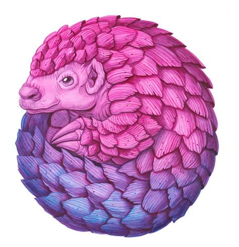 Pangolin Art Print by Sanjana Baijnath | Society6 | Pangolin art, Pangolin, Art