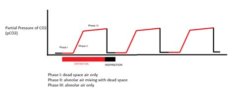 Capnography: A Comprehensive Overview (2024)