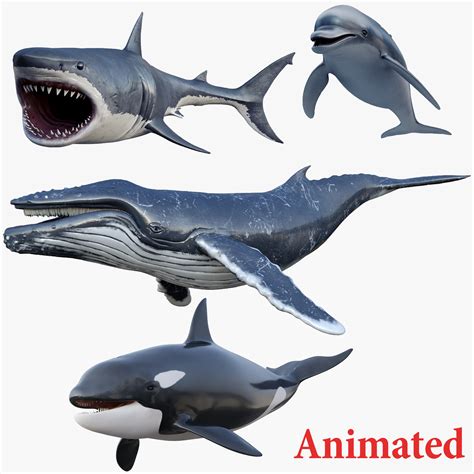 Set of Sea Animals Animated 8K 3D model | CGTrader