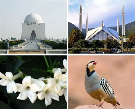 National Symbols Of Pakistan – A Representation Of Pride And Heritage