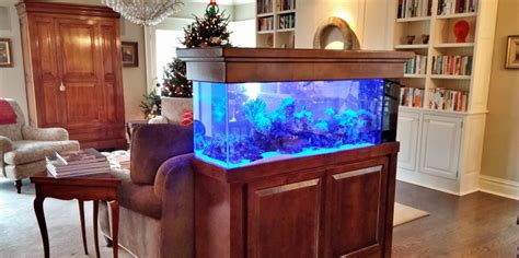 Custom Aquarium Design: Your Complete Guide