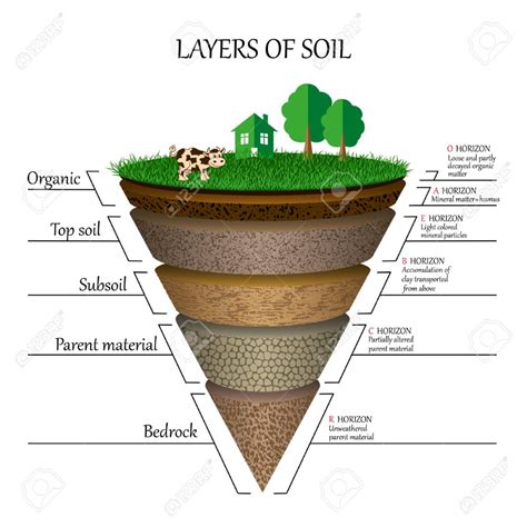 Diagram Images Royalty Free Cliparts ... | Soil layers, Science ...