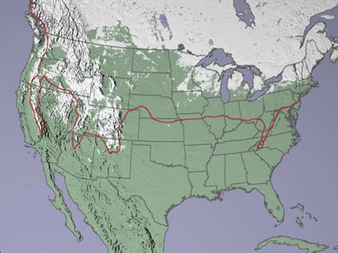 Unusually Low Snow Cover in the U.S.