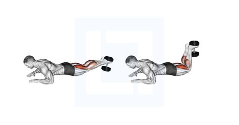 Dumbbell Lying Hamstring Curl - Guide, Benefits, and Form